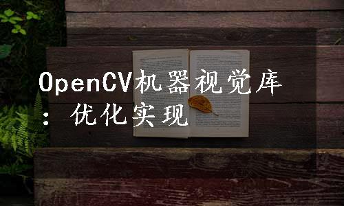 OpenCV机器视觉库：优化实现