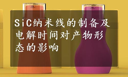 SiC纳米线的制备及电解时间对产物形态的影响