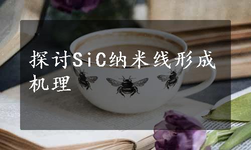 探讨SiC纳米线形成机理