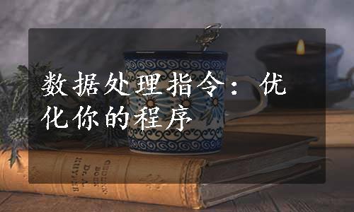 数据处理指令：优化你的程序