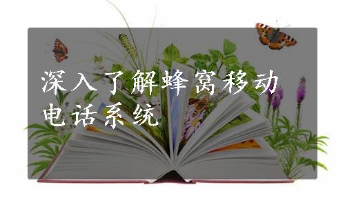 深入了解蜂窝移动电话系统