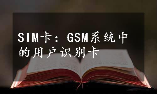 SIM卡：GSM系统中的用户识别卡