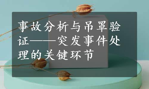 事故分析与吊罩验证——突发事件处理的关键环节