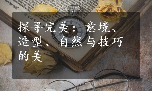 探寻完美：意境、造型、自然与技巧的美