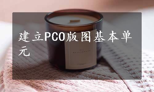 建立PCO版图基本单元