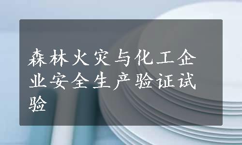 森林火灾与化工企业安全生产验证试验