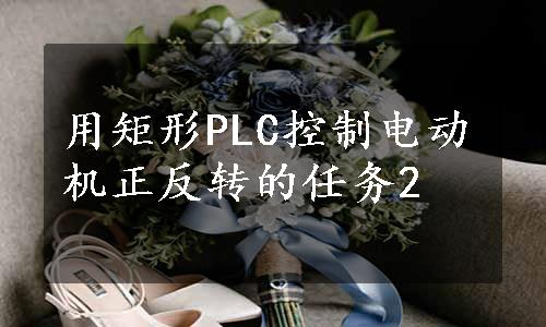 用矩形PLC控制电动机正反转的任务2