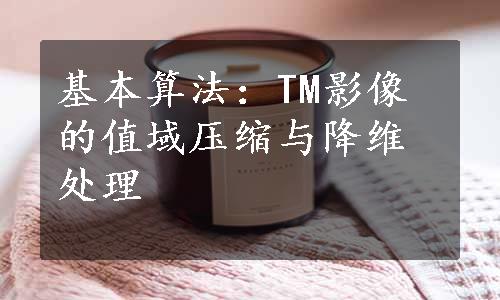 基本算法：TM影像的值域压缩与降维处理