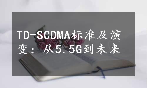 TD-SCDMA标准及演变：从5.5G到未来