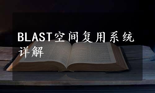 BLAST空间复用系统详解