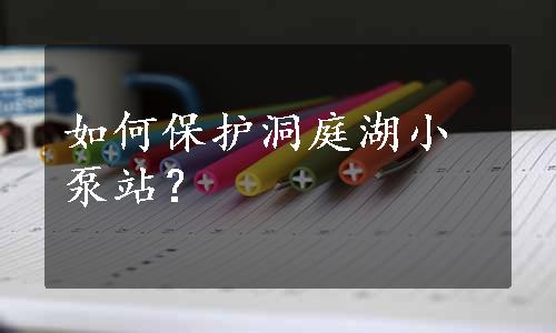 如何保护洞庭湖小泵站？