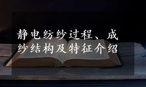 静电纺纱过程、成纱结构及特征介绍