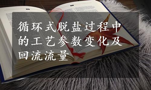 循环式脱盐过程中的工艺参数变化及回流流量