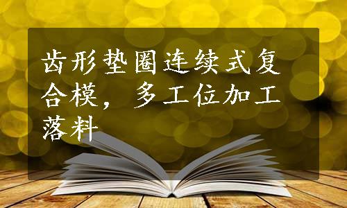 齿形垫圈连续式复合模，多工位加工落料