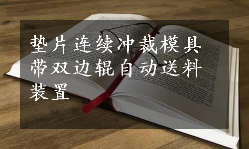 垫片连续冲裁模具带双边辊自动送料装置