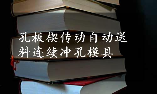 孔板楔传动自动送料连续冲孔模具