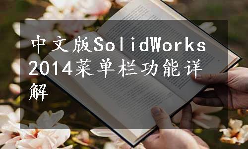 中文版SolidWorks 2014菜单栏功能详解