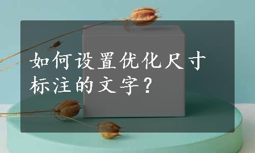 如何设置优化尺寸标注的文字？