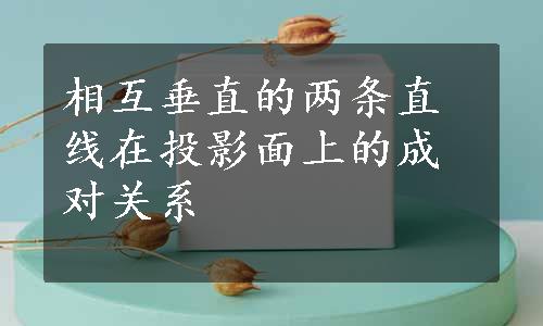 相互垂直的两条直线在投影面上的成对关系