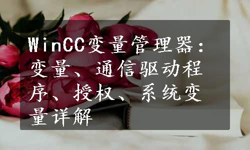 WinCC变量管理器：变量、通信驱动程序、授权、系统变量详解