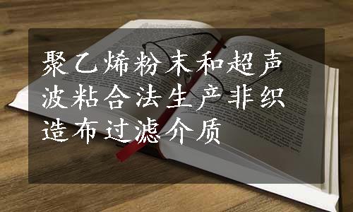 聚乙烯粉末和超声波粘合法生产非织造布过滤介质