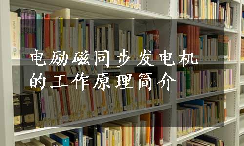 电励磁同步发电机的工作原理简介