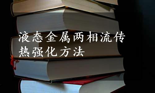 液态金属两相流传热强化方法