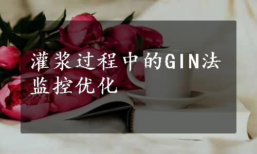 灌浆过程中的GIN法监控优化