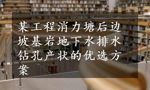 某工程消力塘后边坡基岩地下水排水钻孔产状的优选方案