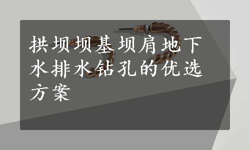 拱坝坝基坝肩地下水排水钻孔的优选方案