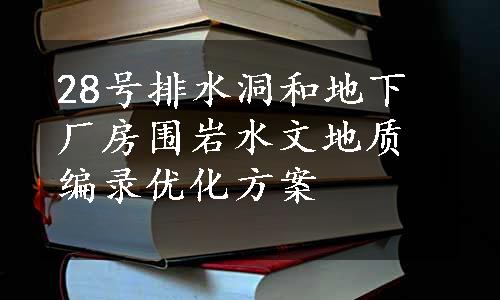 28号排水洞和地下厂房围岩水文地质编录优化方案