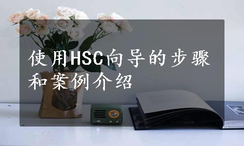 使用HSC向导的步骤和案例介绍