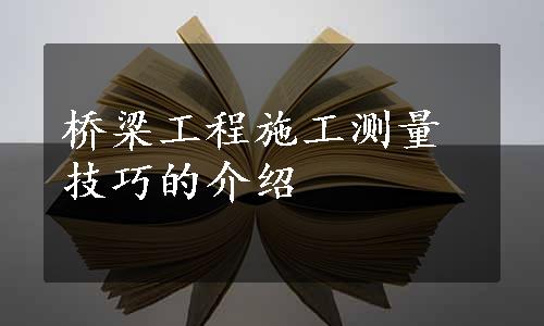 桥梁工程施工测量技巧的介绍