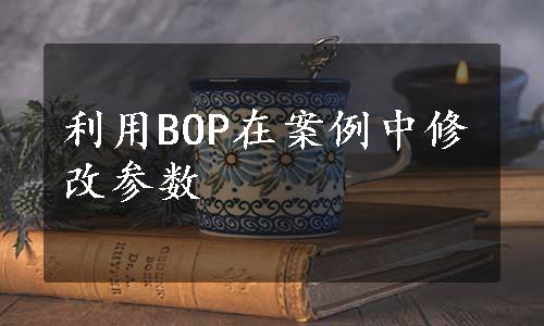 利用BOP在案例中修改参数