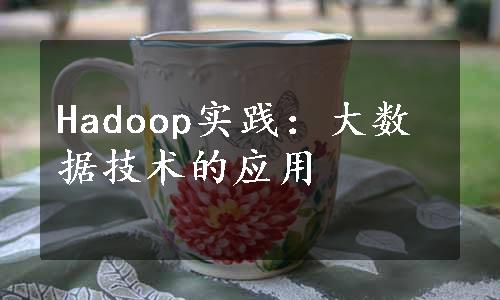 Hadoop实践：大数据技术的应用