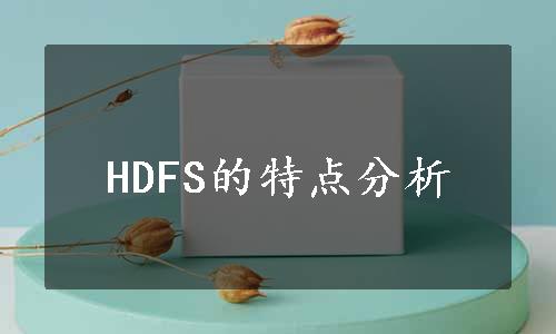 HDFS的特点分析