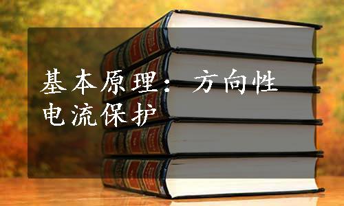 基本原理：方向性电流保护