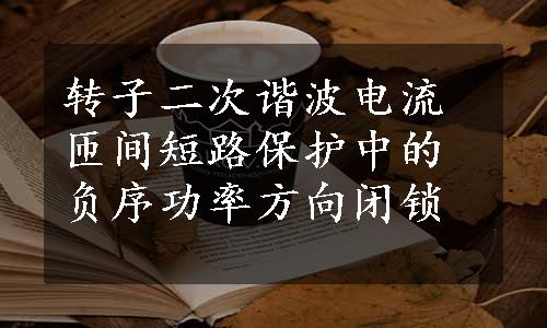 转子二次谐波电流匝间短路保护中的负序功率方向闭锁