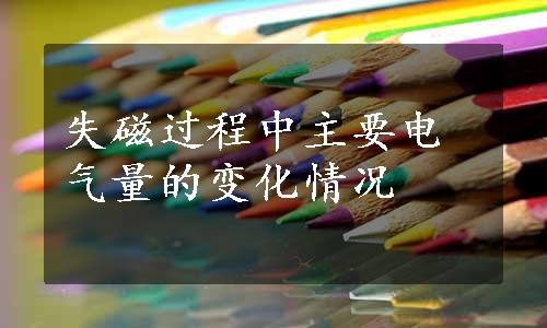 失磁过程中主要电气量的变化情况