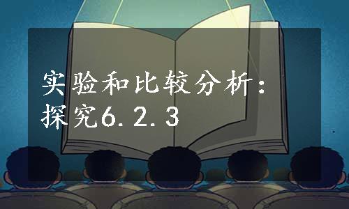 实验和比较分析：探究6.2.3