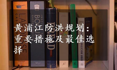 黄浦江防洪规划：重要措施及最佳选择