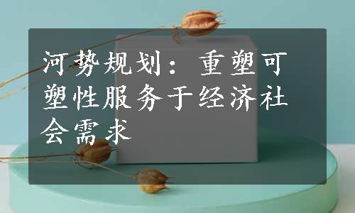 河势规划：重塑可塑性服务于经济社会需求