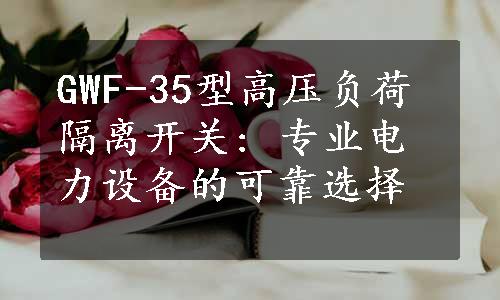 GWF-35型高压负荷隔离开关: 专业电力设备的可靠选择