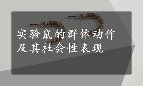 实验鼠的群体动作及其社会性表现