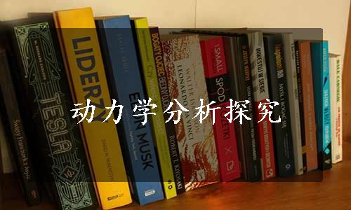 动力学分析探究