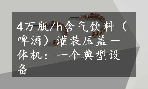 4万瓶/h含气饮料（啤酒）灌装压盖一体机：一个典型设备