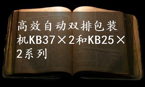 高效自动双排包装机KB37×2和KB25×2系列