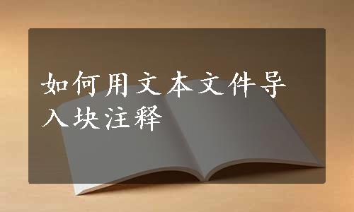 如何用文本文件导入块注释