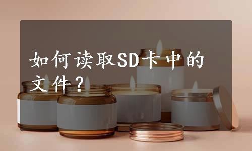 如何读取SD卡中的文件？