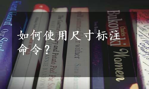 如何使用尺寸标注命令？